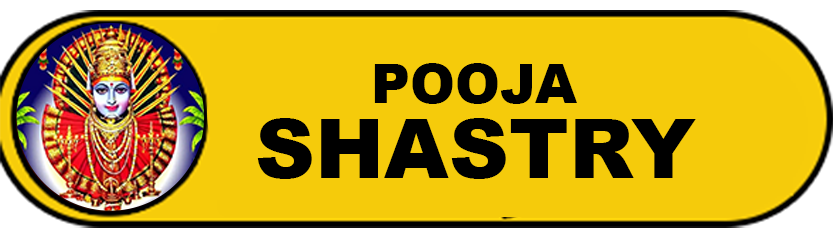 image-logo