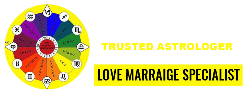 no.1 astrologer
